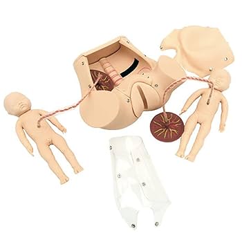 妊産婦への施術完全マニュアル マタニティ整体｜整体／骨盤矯正なら口コミで評判「J's